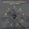 Benefits of Shilajit