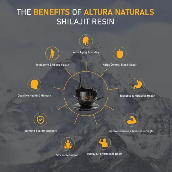 Benefits of Shilajit